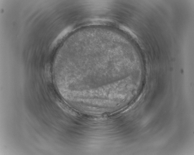 X0000074961403200609291901