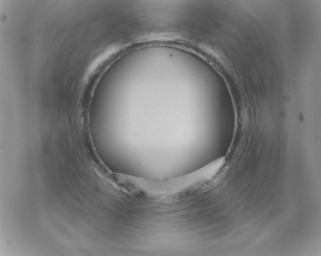 X0000074961406200609291901