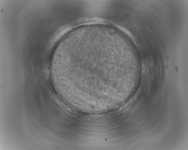 X0000074961407200609291901