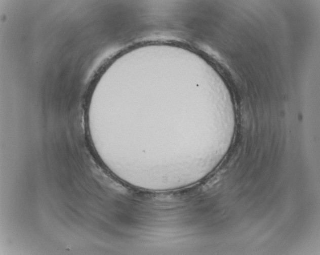 X0000074961408200609291901