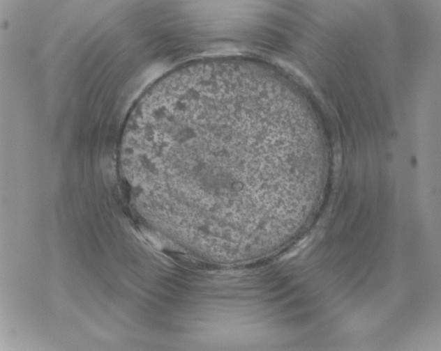 X0000074961409200609291901