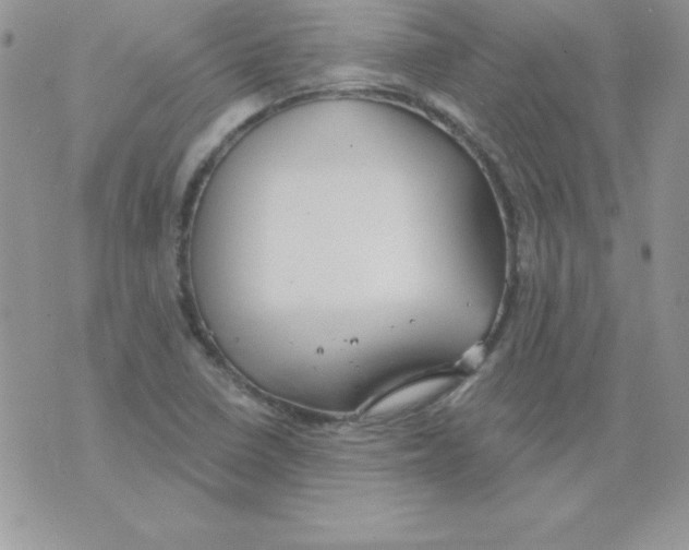 X0000074961410200609291901