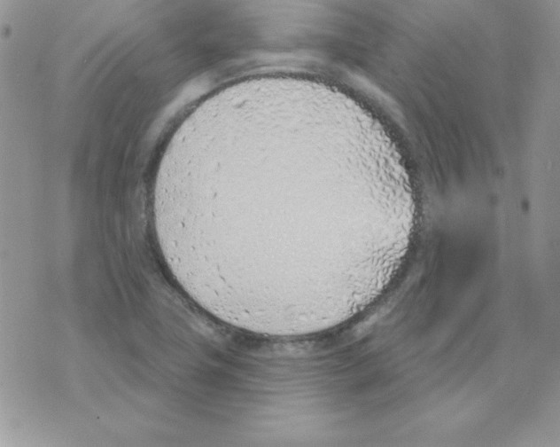 X0000074961411200609291901