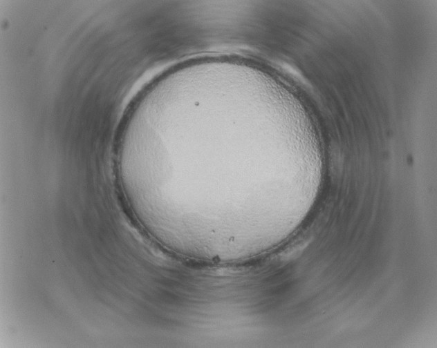 X0000074961412200609291901