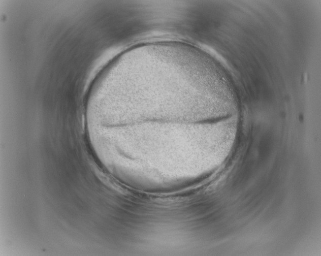 X0000074961413200609291901