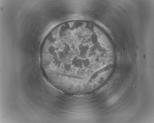 X0000074961415200609291901