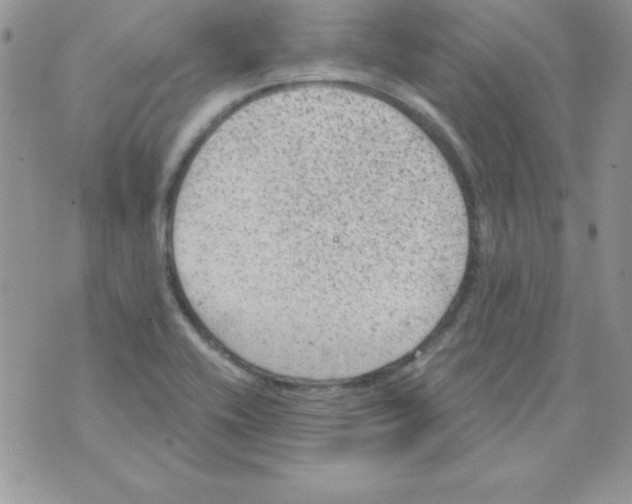 X0000074961416200609291901