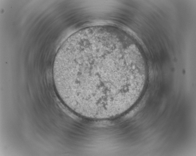 X0000074961417200609291901