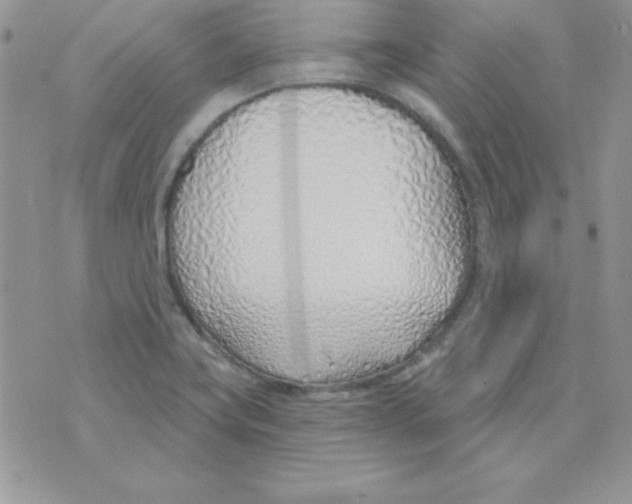 X0000074961419200609291901