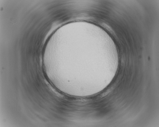 X0000074961420200609291901