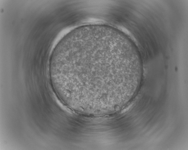 X0000074961421200609291901