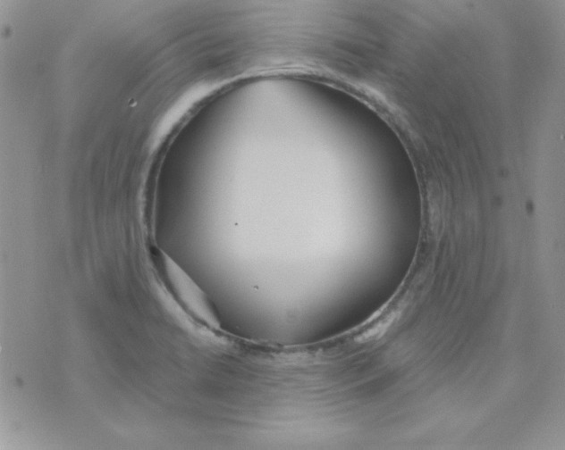 X0000074961422200609291901