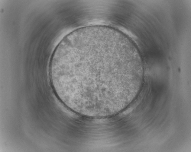 X0000074961423200609291901