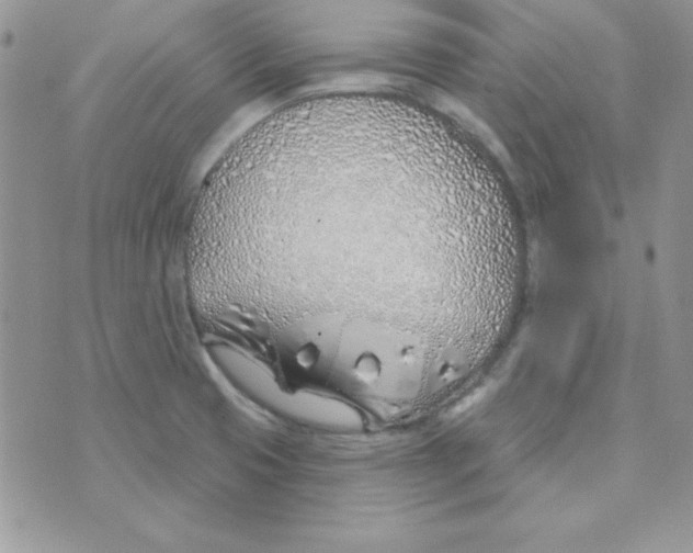 X0000074961425200609291901