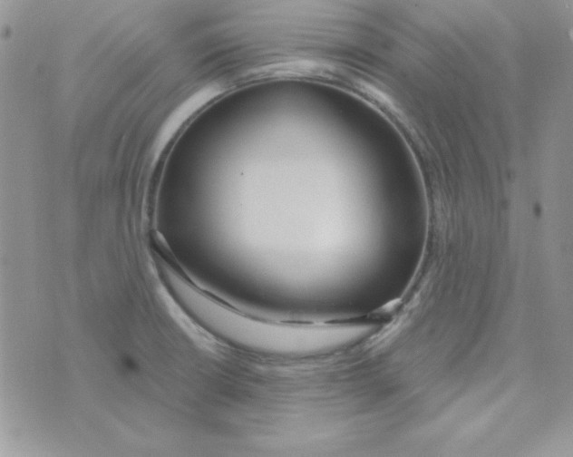 X0000074961426200609291901