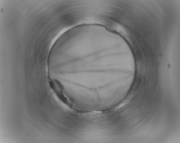 X0000074961428200609291901