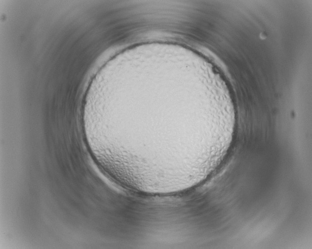 X0000074961429200609291901