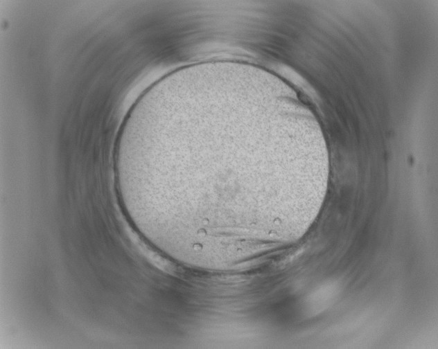 X0000074961431200609291901