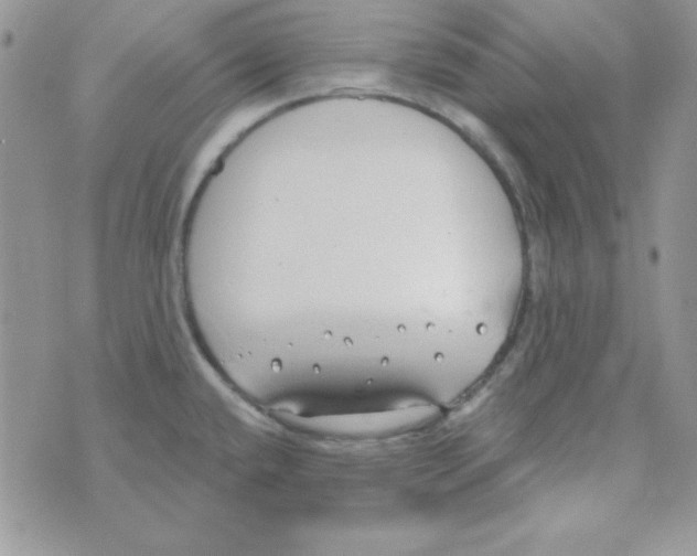 X0000074961432200609291901