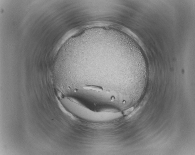 X0000074961433200609291901