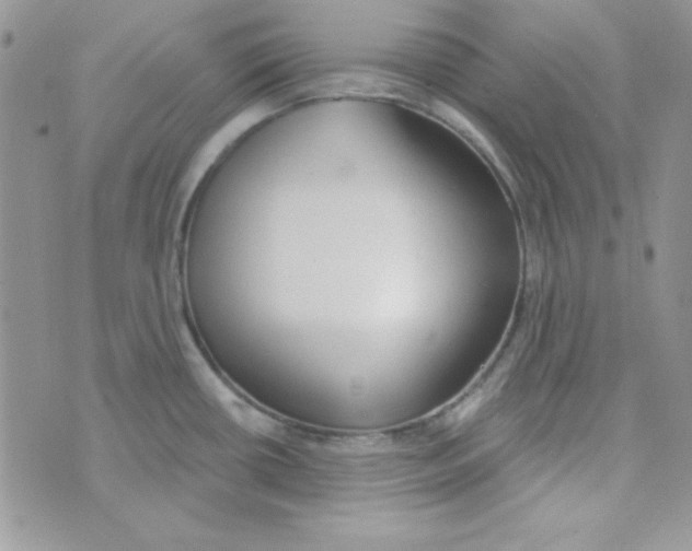 X0000074961434200609291901