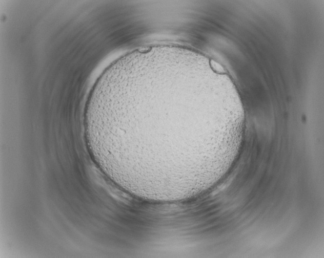 X0000074961435200609291901