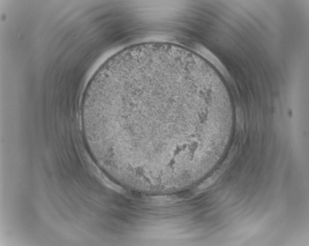 X0000074961436200609291901