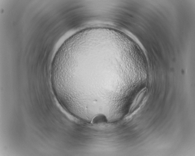 X0000074961437200609291901