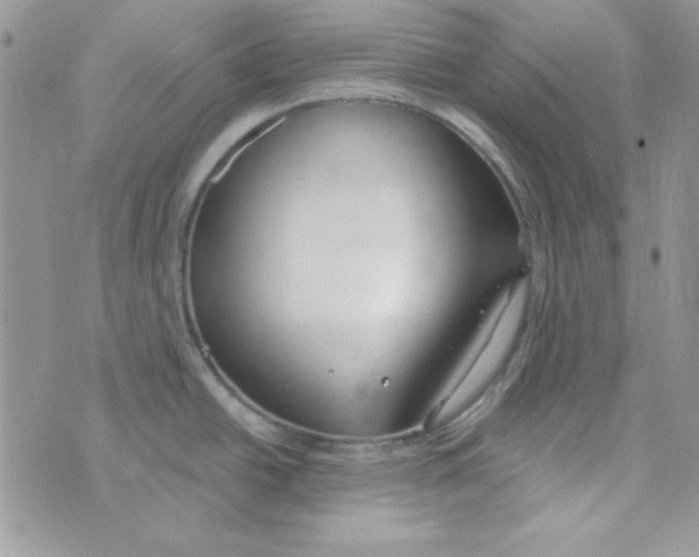 X0000074961438200609291901