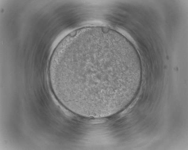 X0000074961440200609291901