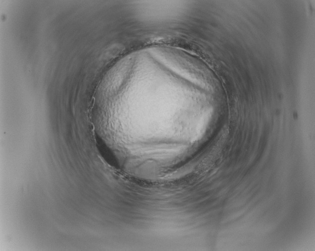 X0000074961441200609291901