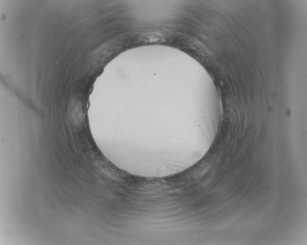 X0000074961442200609291901