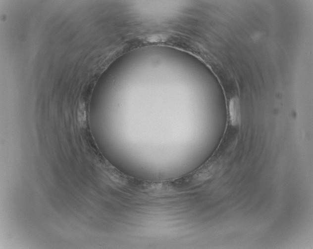 X0000074961443200609291901