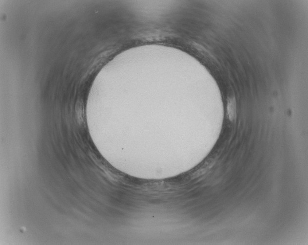 X0000074961444200609291901