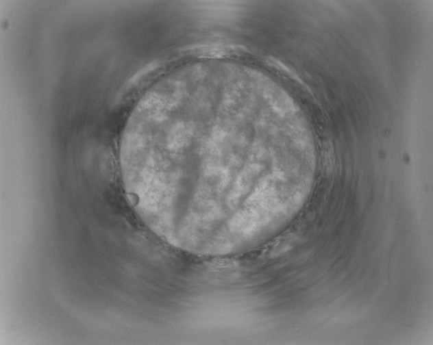 X0000074961446200609291901