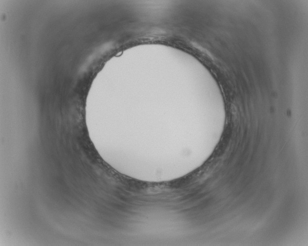 X0000074961447200609291901