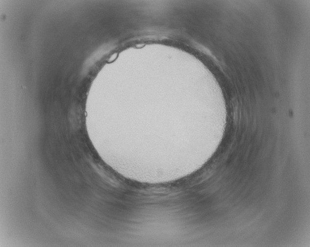 X0000074961448200609291901