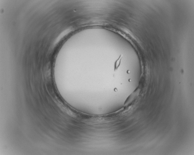 X0000074961450200609291901