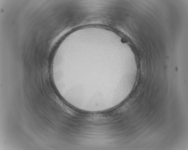 X0000074961452200609291900