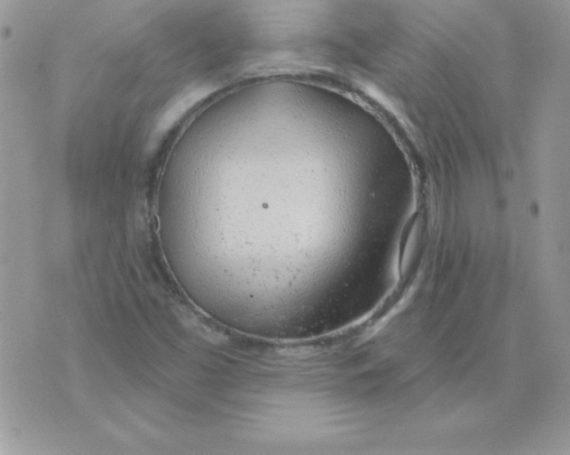 X0000074961453200609291900