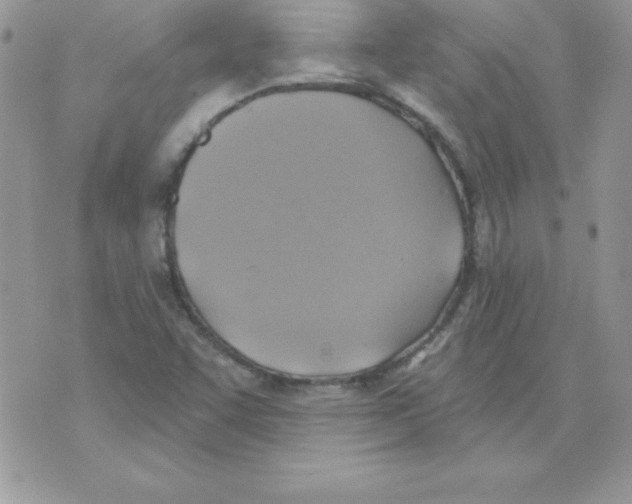 X0000074961455200609291900