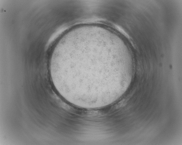 X0000074961456200609291900