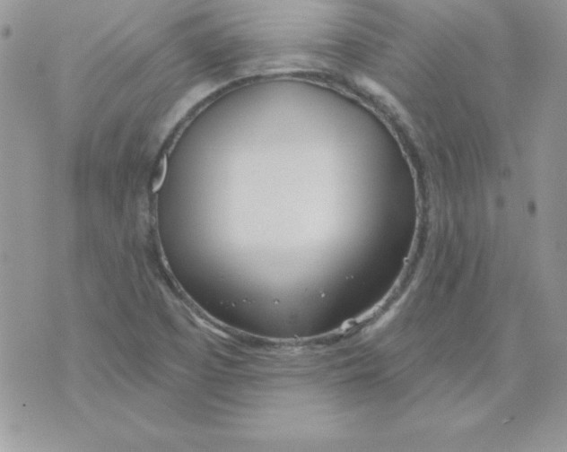 X0000074961457200609291900