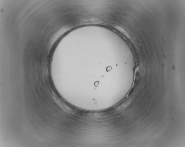 X0000074961458200609291900