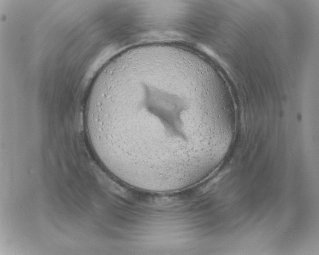 X0000074961459200609291900