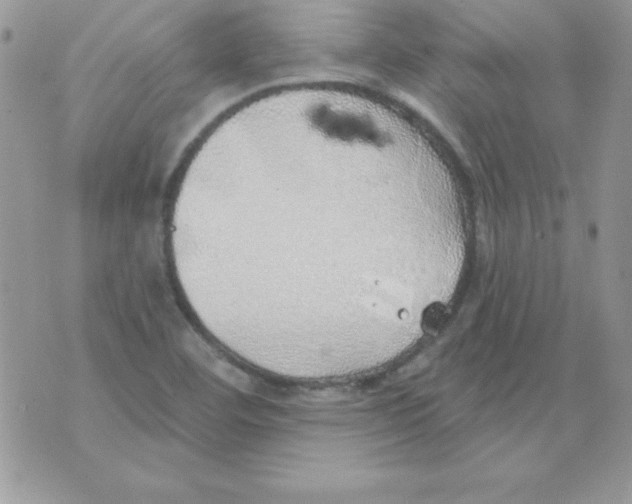 X0000074961460200609291900