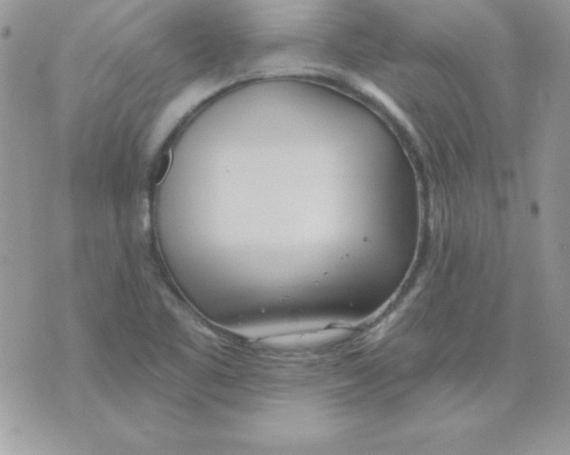 X0000074961461200609291900