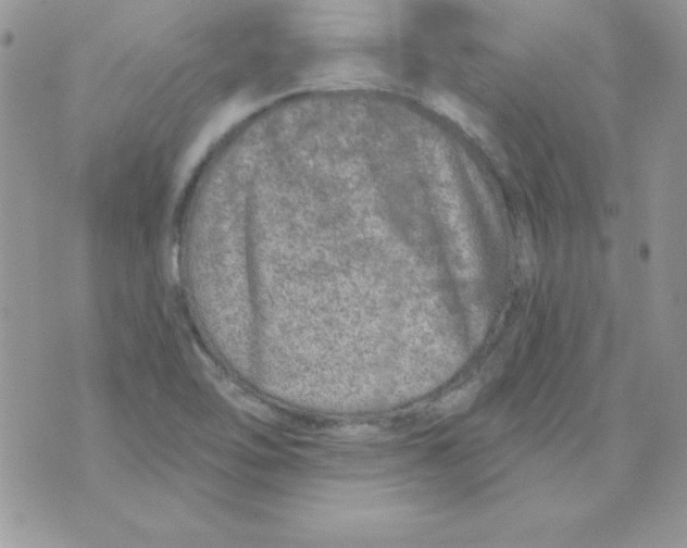 X0000074961462200609291900