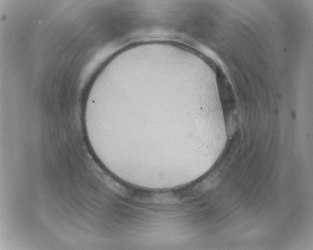 X0000074961464200609291900