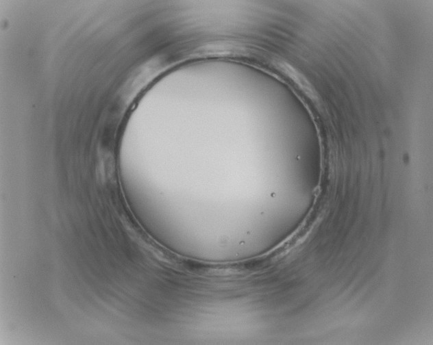 X0000074961465200609291900